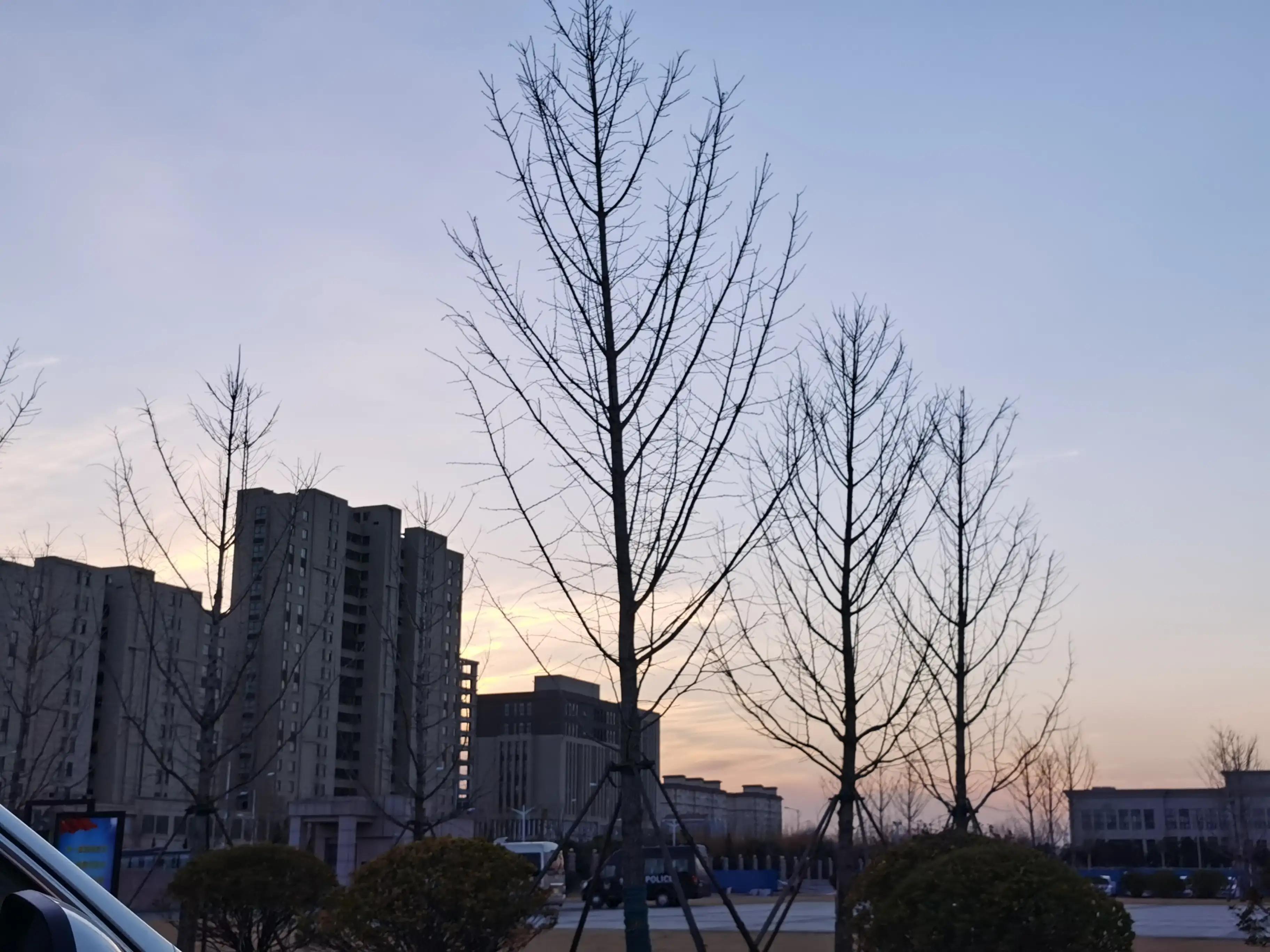 写下冬的伏笔,写下凛冬的绝笔