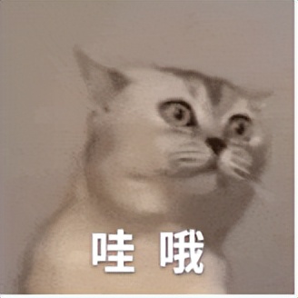 控油防汗防水透明散粉真实测评,防水防汗持久四色散粉好用吗