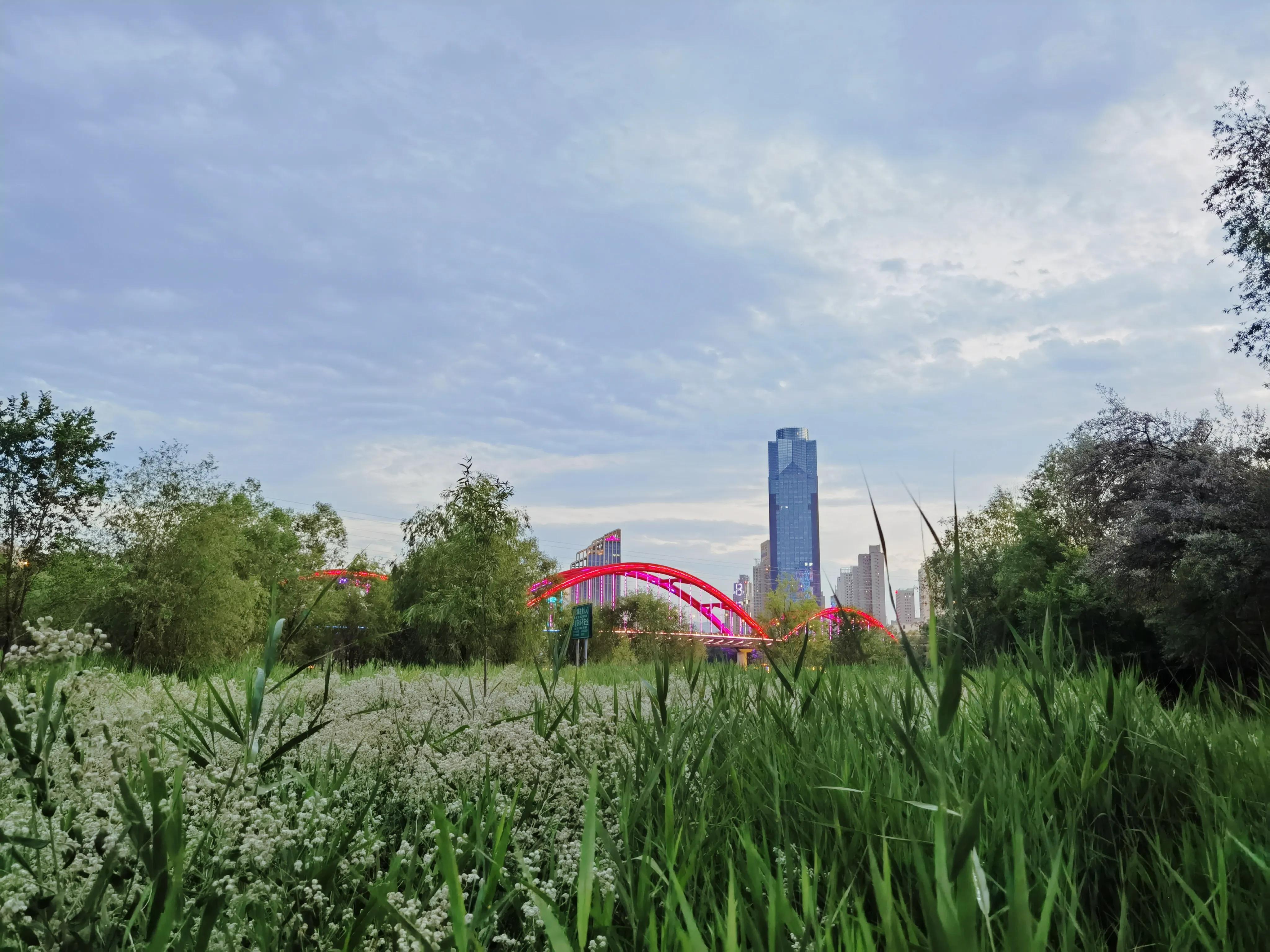 七一开怀赋锦章，锤镰飞彩映朝阳