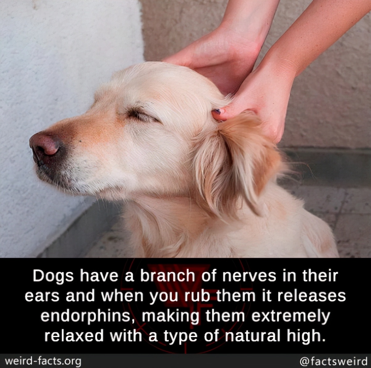 100个有趣的历史小故事,世界历史上的趣味小故事