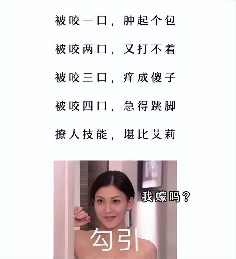 去公园可怕的虫子,去公园如何避免蚊虫叮咬