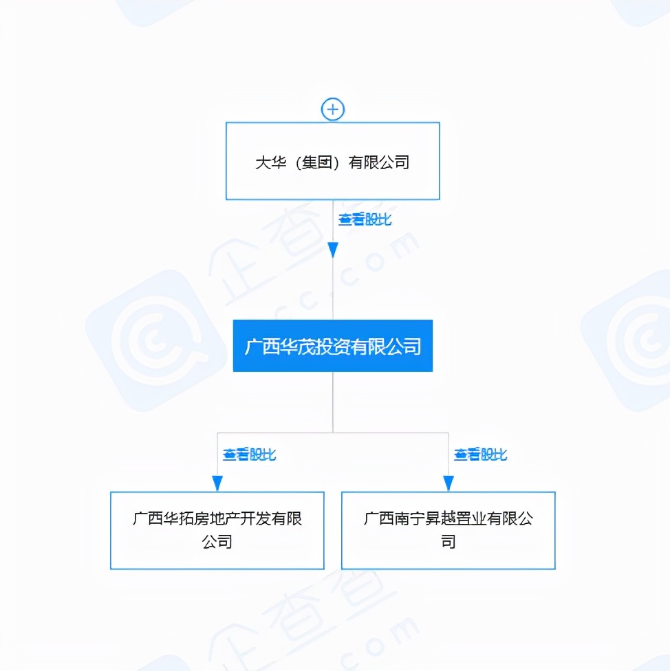 大华地产南宁,大华城南宁