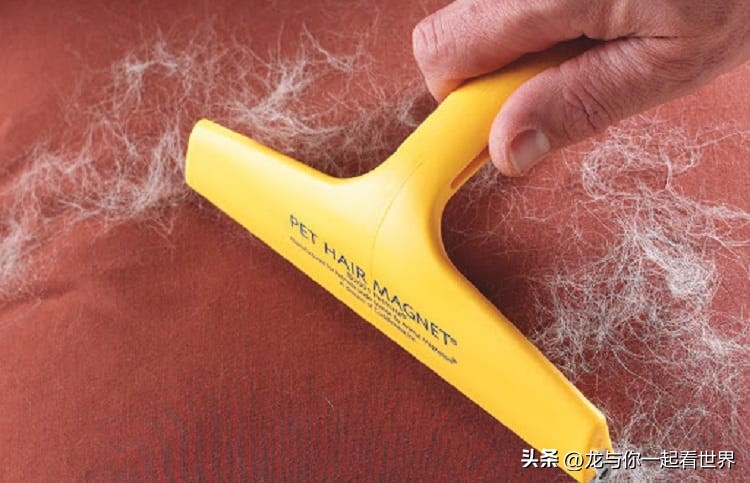 通过这些维护技巧确保您的汽车看起来最好