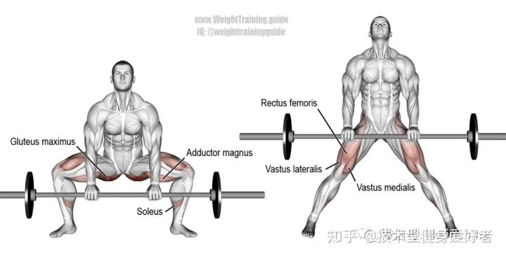 学会3个健身方法一个月练出肌肉,新手健身怎么练基础肌肉动作