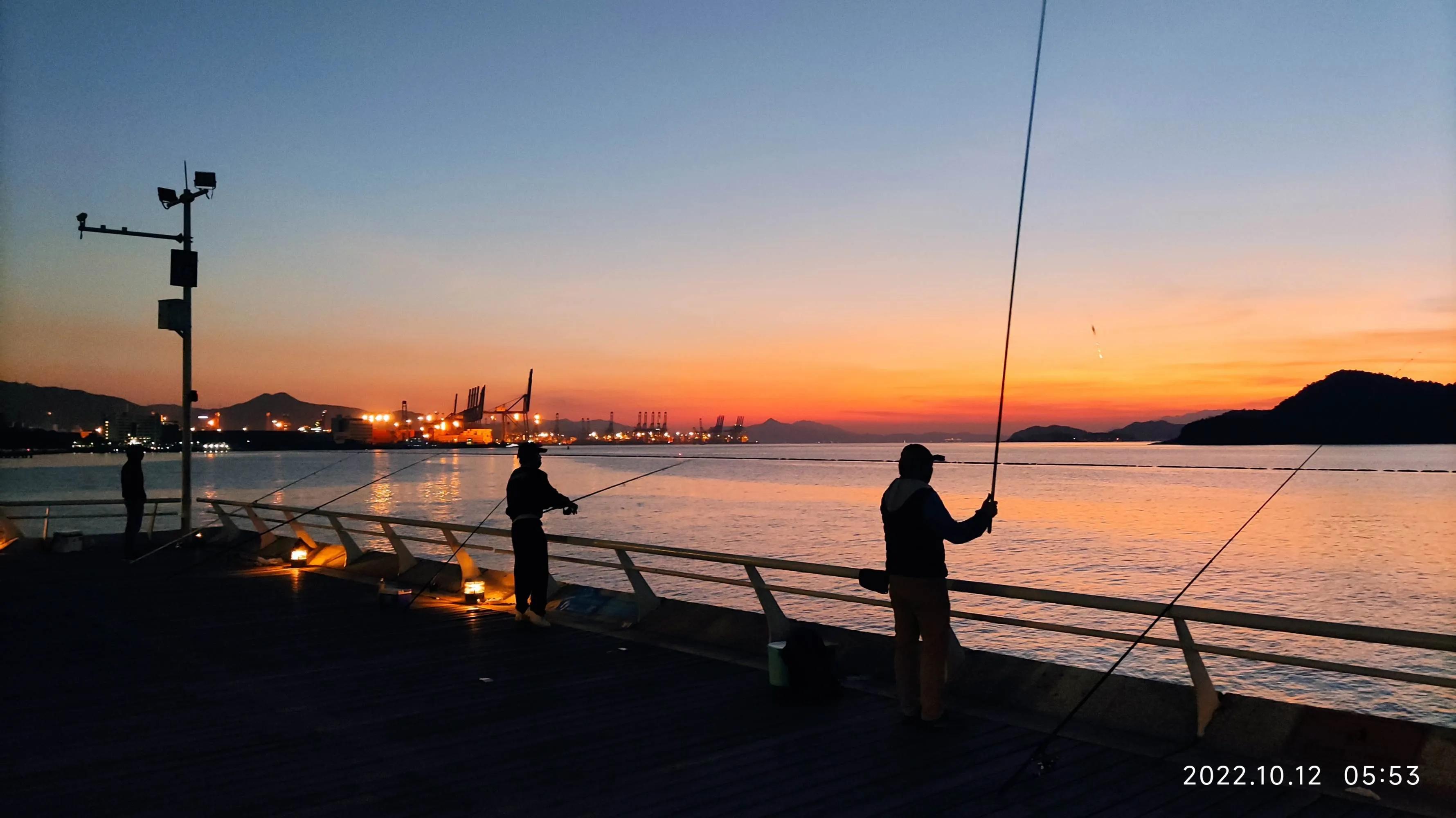 20种常见海鱼,十大常见野生海鱼