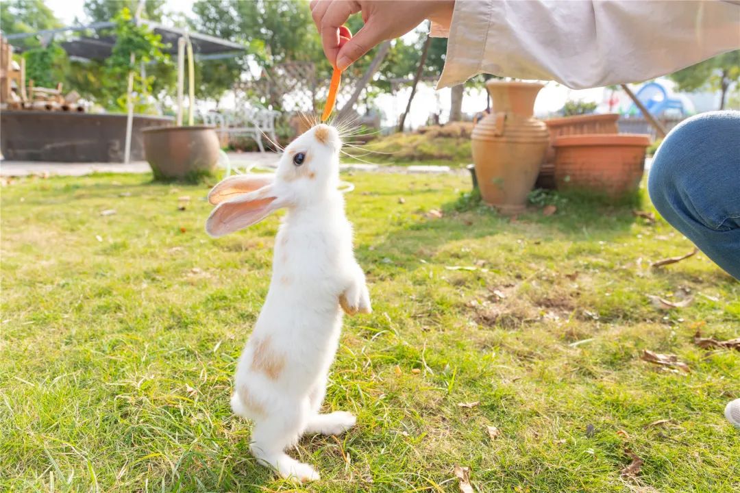 麻涌国庆游玩好去处,麻涌周末去哪玩