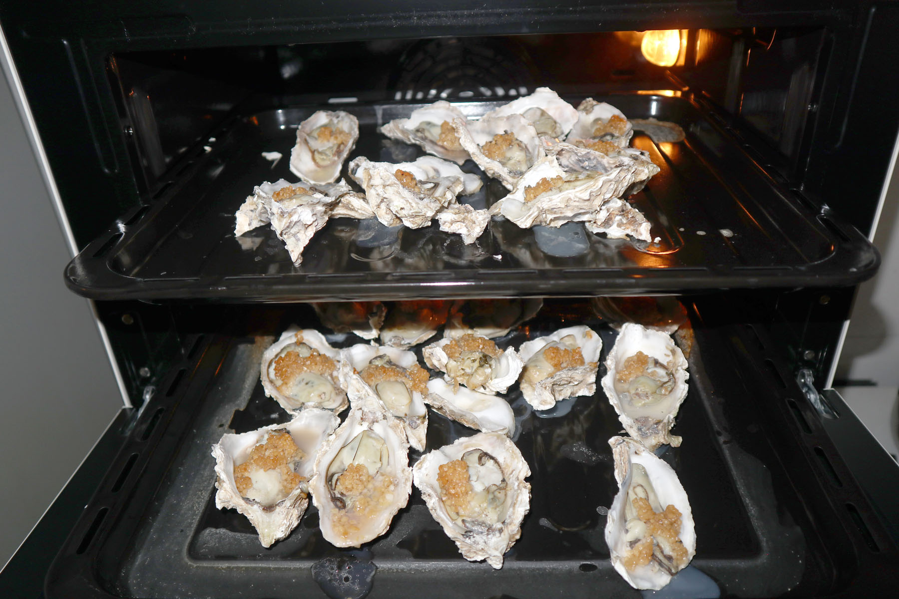 科普文章心得,新手考虑哪款烤箱