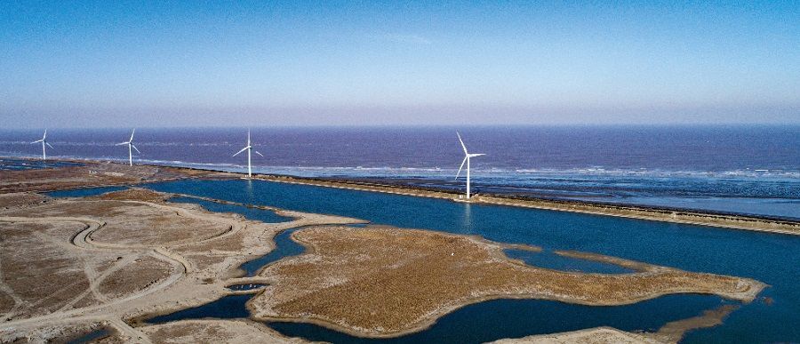 江苏观海地，这个小长假的快乐，快点让海鲜与美食填满