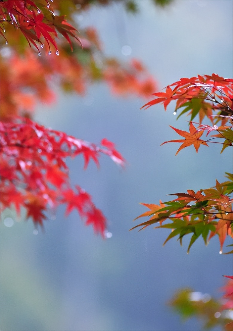 最是新秋好时光，有关新秋的诗词，在诗词里欣赏新秋的美景！​