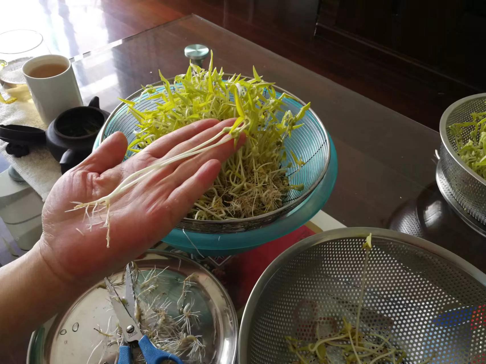 写在上海疫情封控一月之时(三)