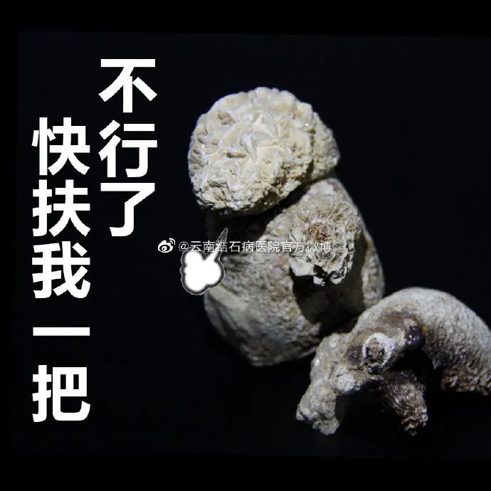 这几种疾病进入高发期,一年12个月高发疾病