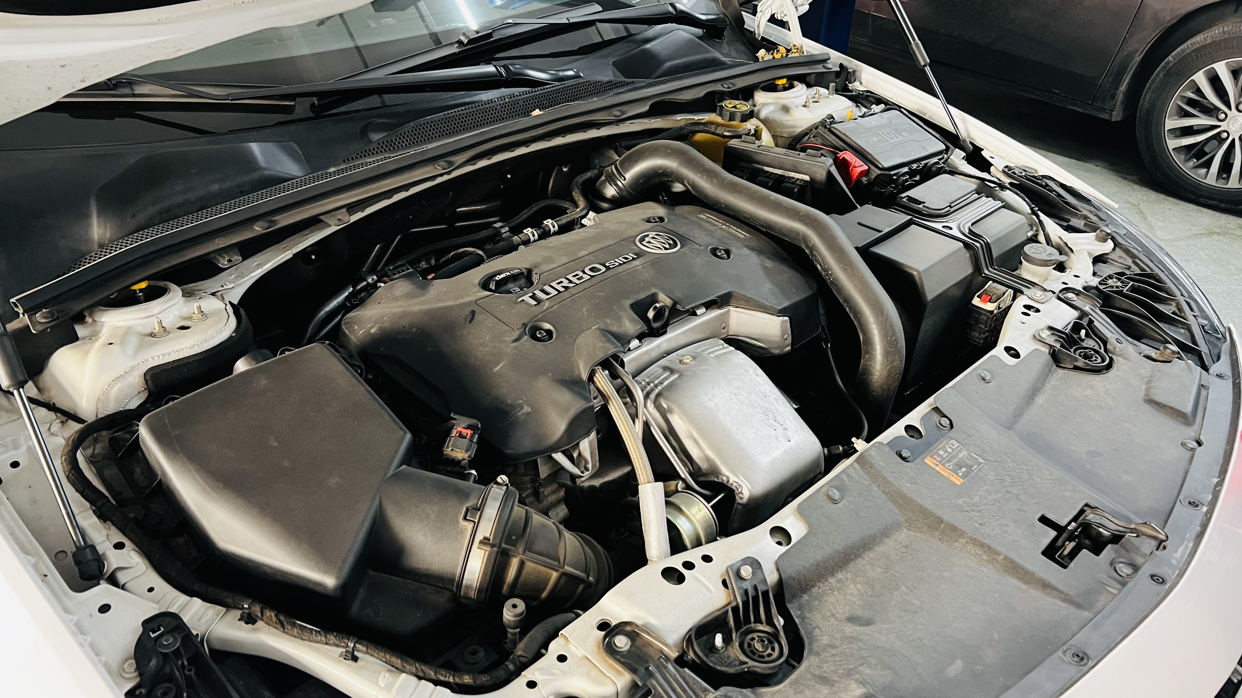 艾伦养护注意事项,艾伦怎样养护