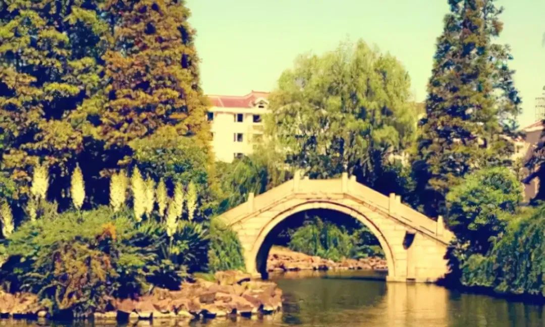 上海古镇十大必去景点旅游攻略,上海附近古镇旅游景点大全排名