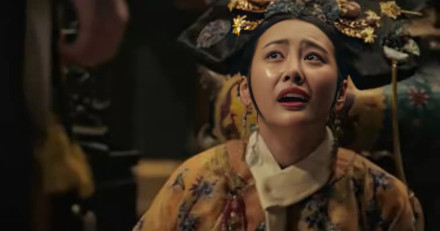 糯糯宝贝的讲说剧情卫答应的一生