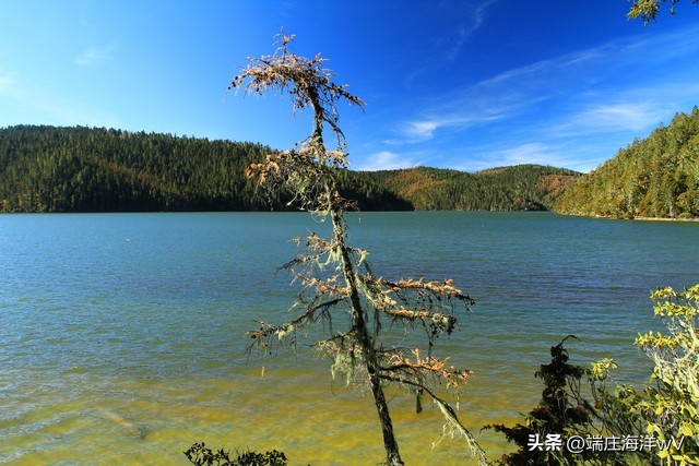 到云南昆明旅游必去的景点有哪些,云南香格里拉旅游攻略必去景点