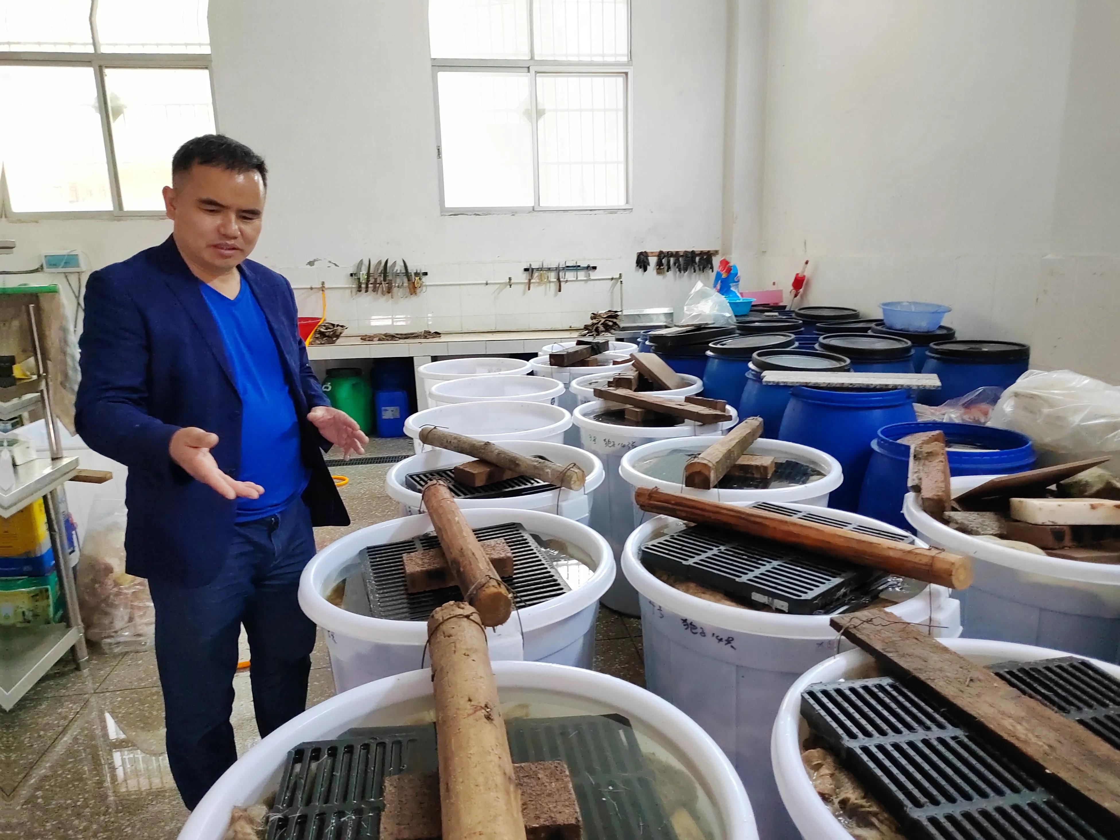 复制宠物赚“情感钱”，山村小伙走出条不同寻常人生之路