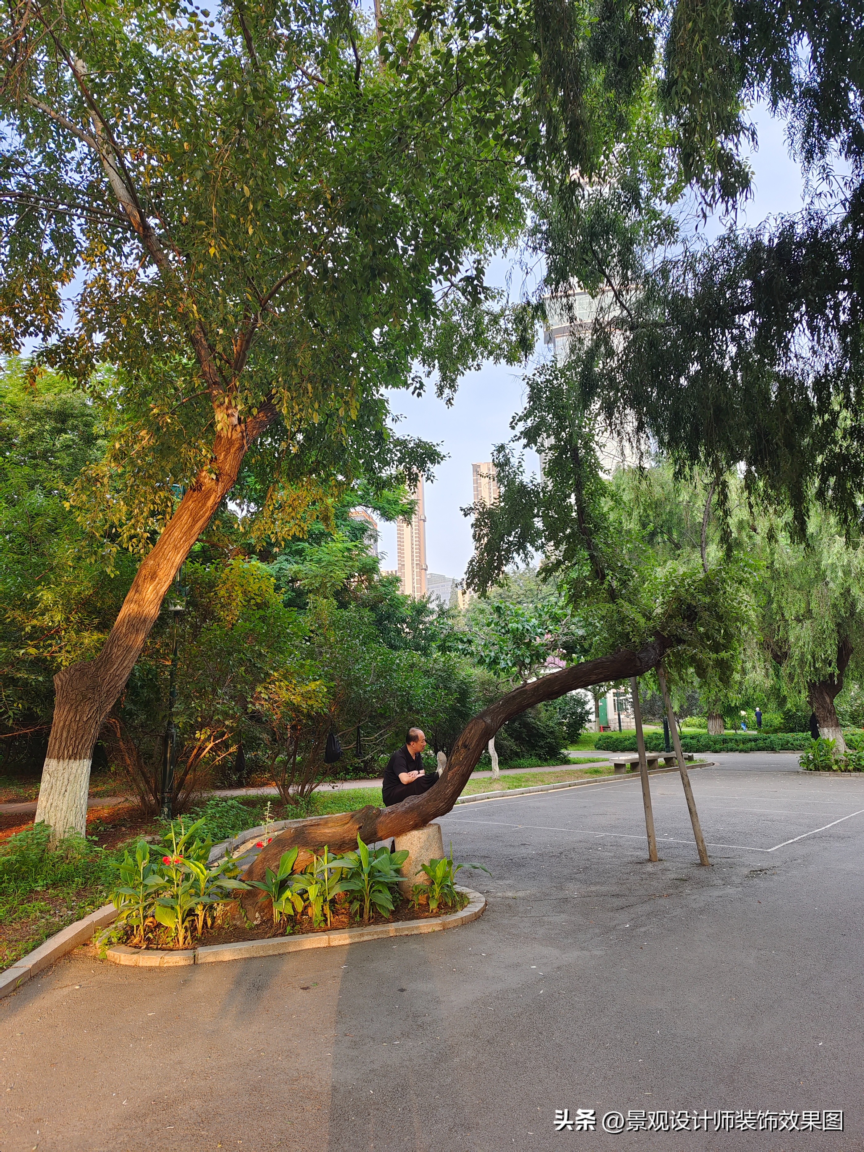 沈阳青年公园所在地,沈阳青年公园