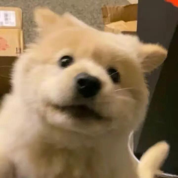 加了心仪女孩子的微信，第一句不知道怎么说？来看看别人怎么说的