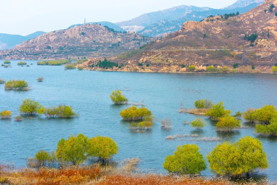 疫情快过去吧，我不想错过这座海滨老城的春天