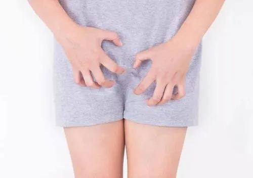 母女俩下腹瘙痒，医生用镊子夹出阴虱！原来阴虱有这4个传播途径