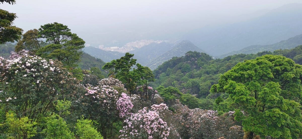 手术室激昂背景音乐,手术室震撼音乐