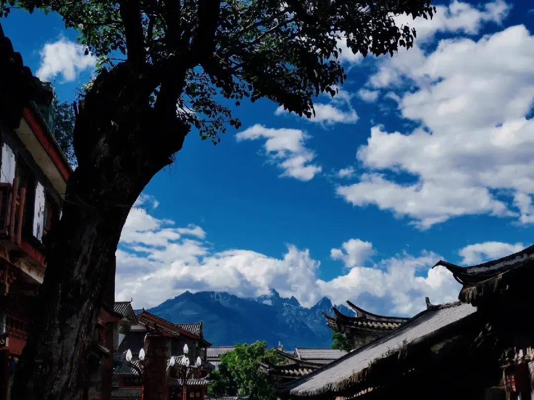 夏天云南最适合避暑的城市,云南既适合避寒又适合避暑的地方