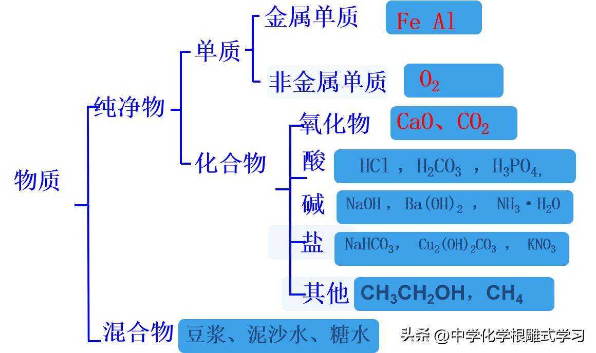 人体摄入物质分类,物质的分类导学案