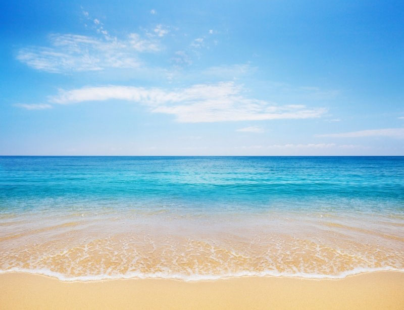 第337章精神错乱在线阅读,第三十七章苏醒