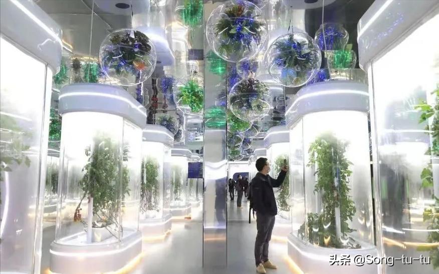 北京国家博物馆哪些值得打卡,北京市国家一二三级博物馆名单