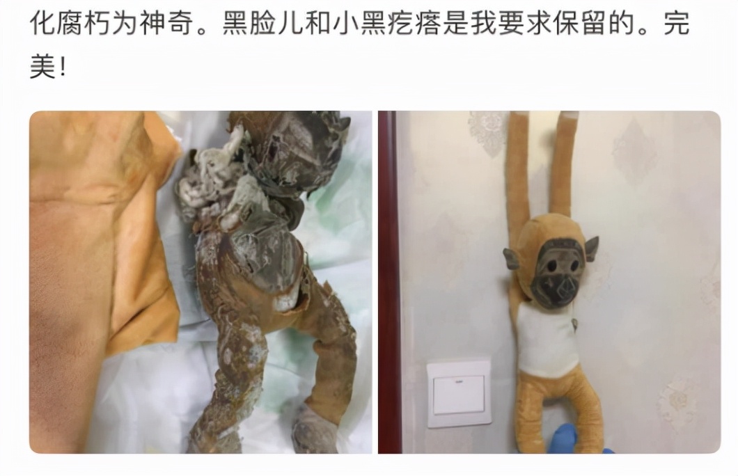 猫粮品尝师条件,猫粮品尝师入选2021冷门新职业