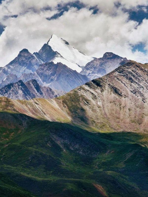 中科院微生物研究所白逢彦,中科院微生物研究所食用菌种