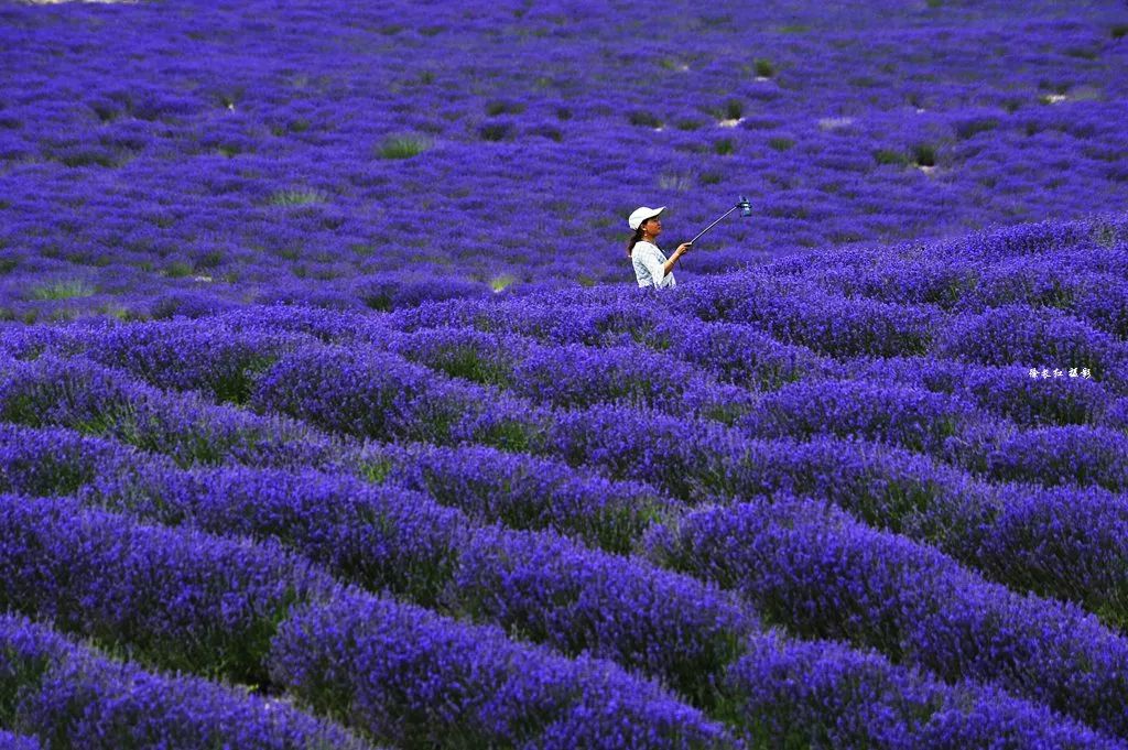 七月中国美如画，夏日避暑五十处