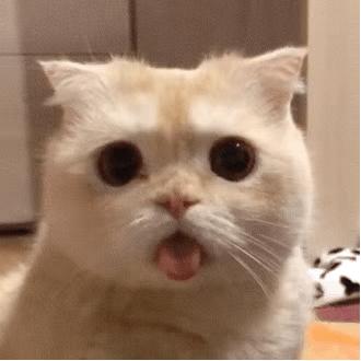 沙雕搞笑表情包头像,沙雕搞笑表情包图片静图