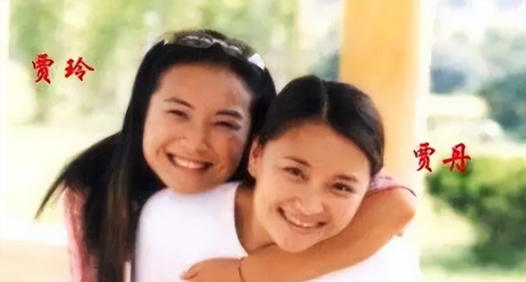 李冰冰姐妹花在娱乐圈打拼靠什么,十对明星姐妹