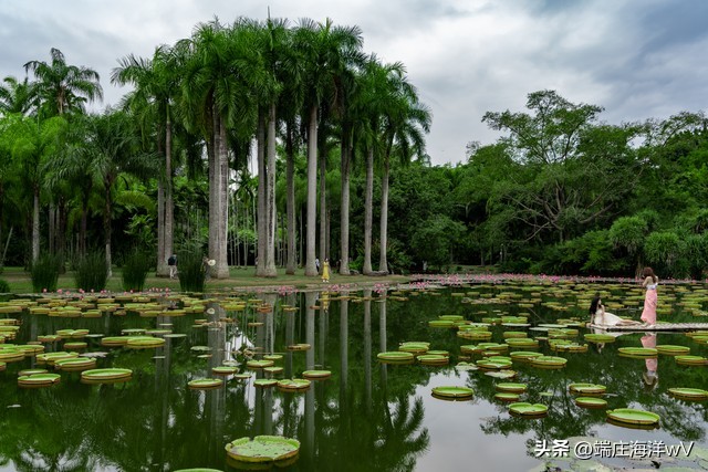 到云南昆明旅游必去的景点有哪些,云南香格里拉旅游攻略必去景点