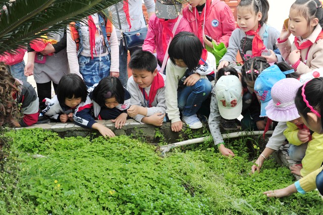 为期三天的社会实践活动,三天两夜实践活动