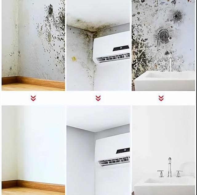 墙上发霉怎么处理才会有霉菌,墙壁上的霉菌霉斑