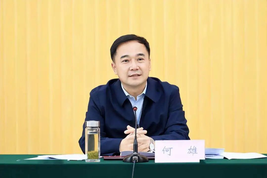 2022年现任市长公示,2020市长公示名单