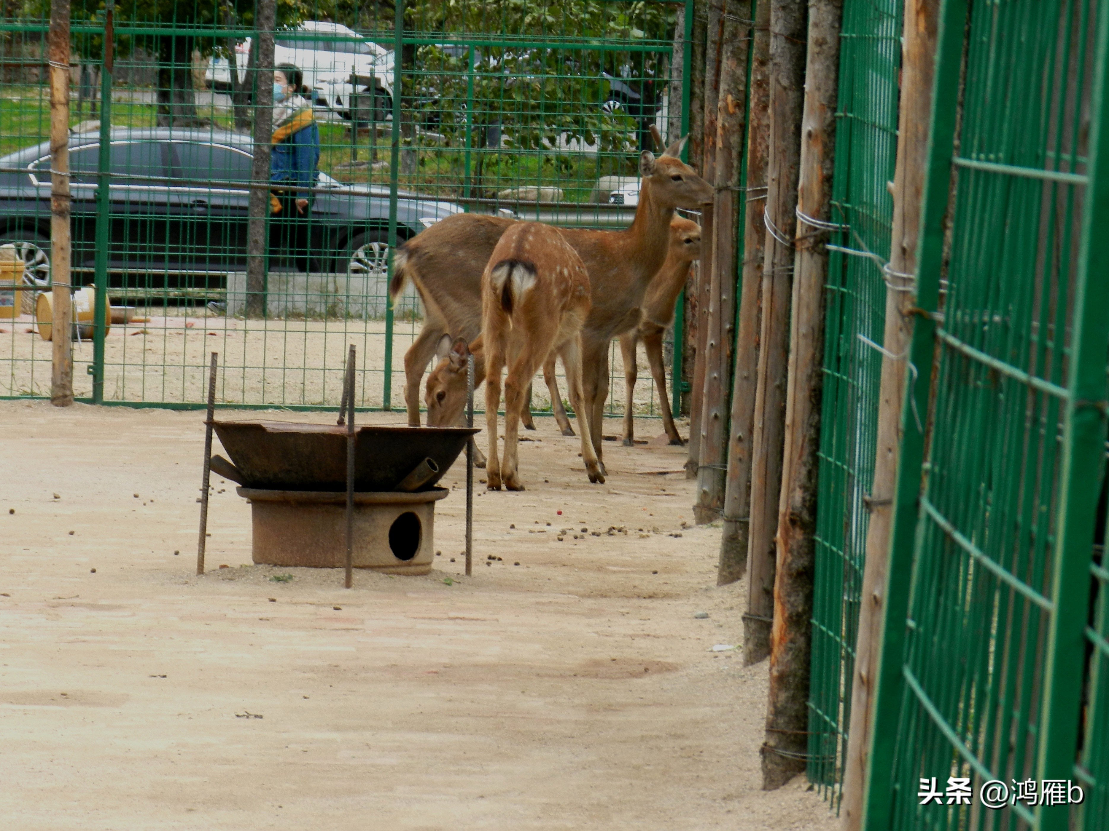 本溪温泉汤沟门票价格,本溪花溪沐枫雪温泉小镇