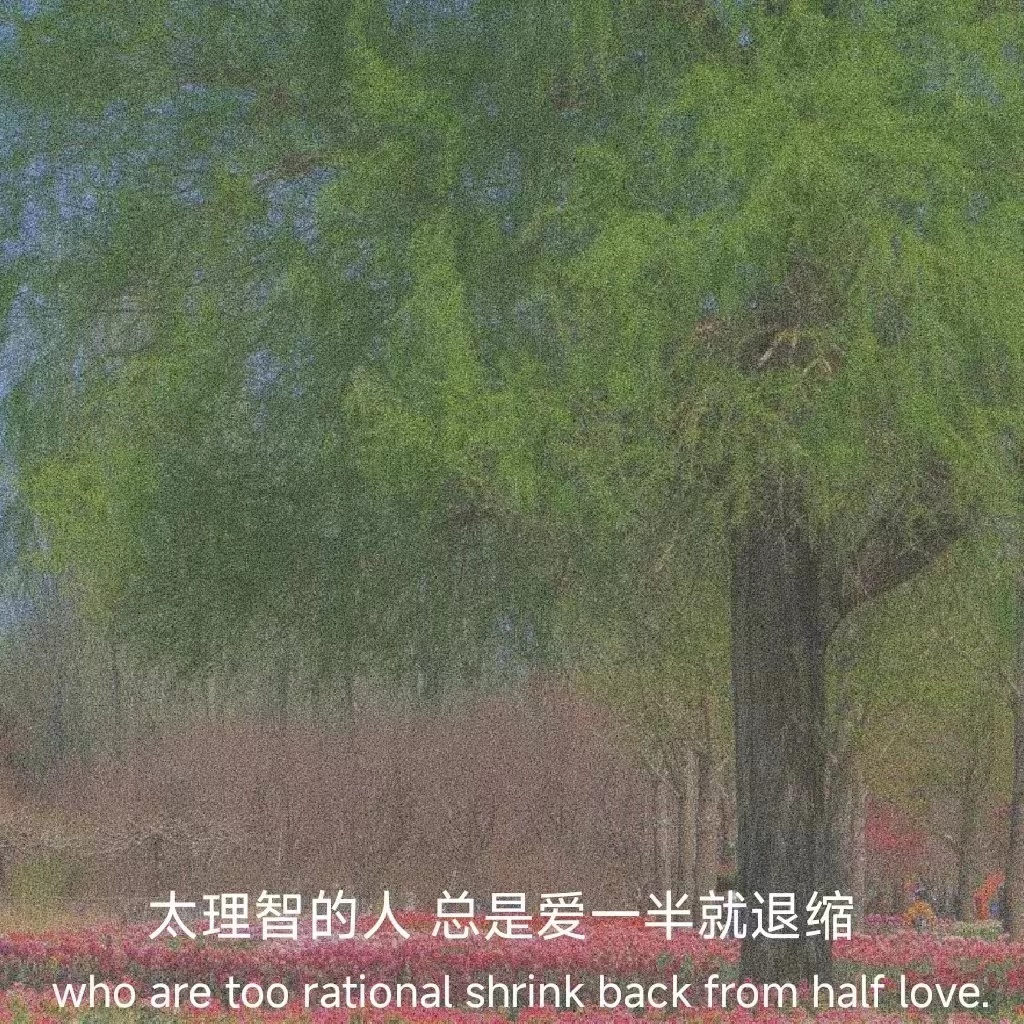 文案最火的句子幽默伤感,句句走心的情感句子伤感文案