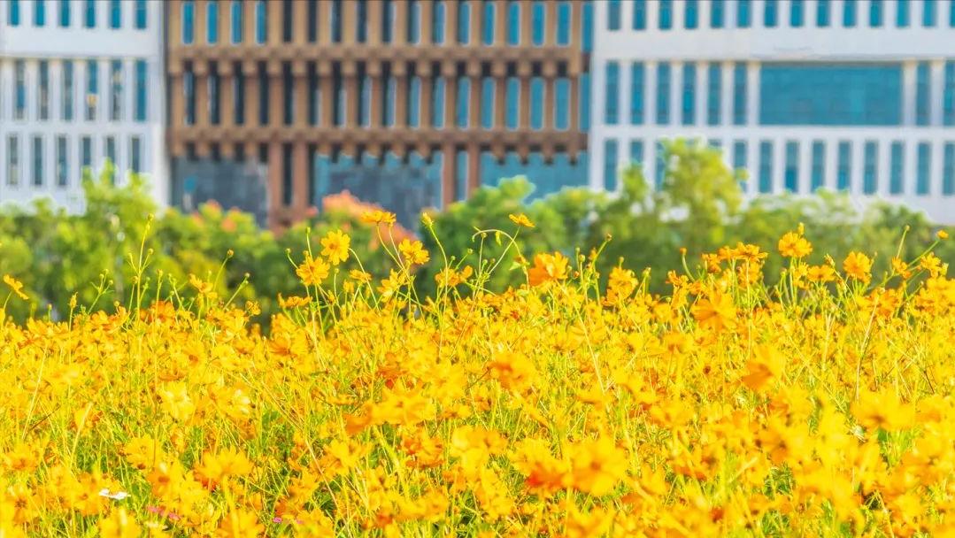 武汉理工大学计算机考研,武汉理工考研用什么资料