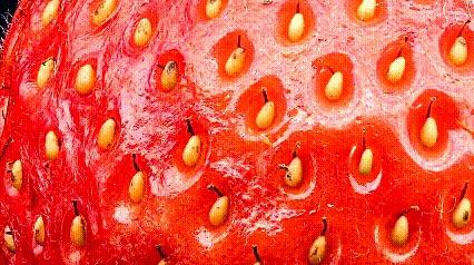 运动神经元显微镜观察内容与结果,显微镜下观察神经元的判断依据