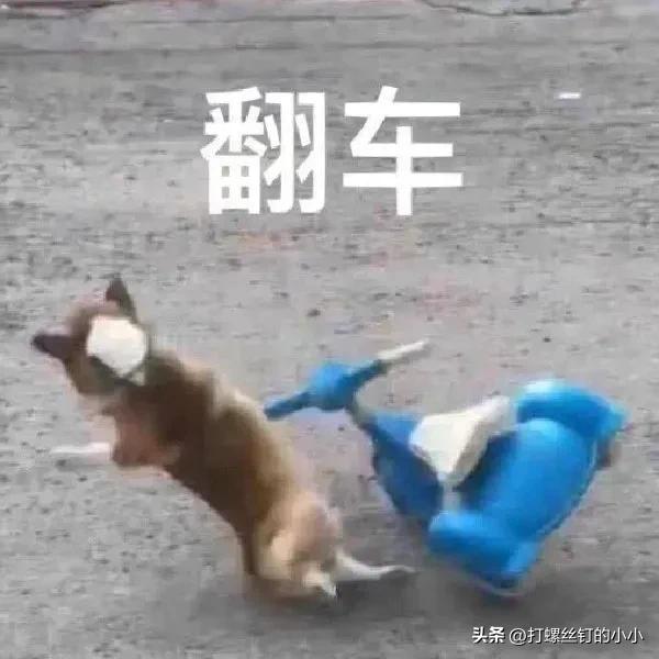 *今条头日**,抖音中视频计划,写小说这些赚钱的渠道你都试过几个?