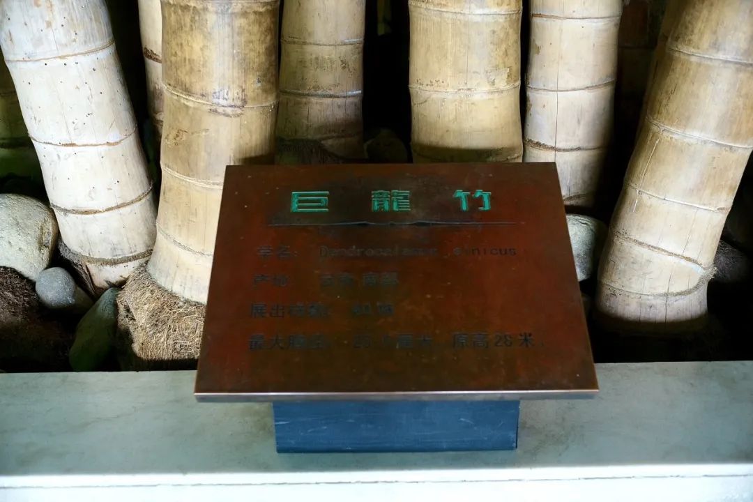 浙江市区度假酒店推荐,浙江轻奢酒店值得推荐