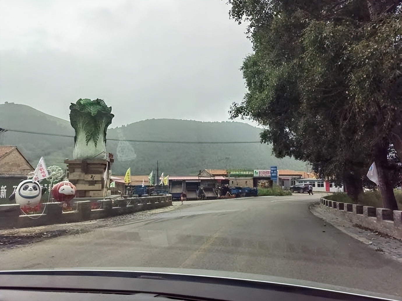 灏忓ぉ灞遍夯鐢板箔鏅尯鍦ㄥ摢,楹荤敯宀皬澶╁北鐢ㄩ绾﹀悧