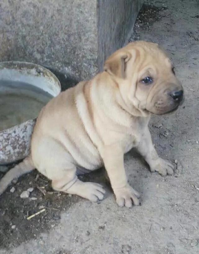 我在微信被骗了怎么办,微信被骗800可以追回吗