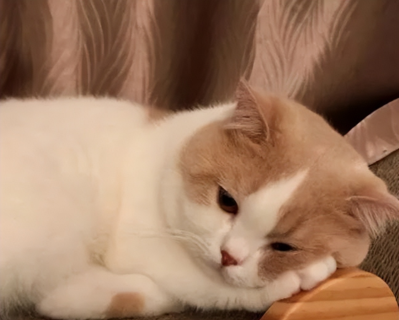 有治鼻炎的好方法吗,哪种药治鼻炎比较好