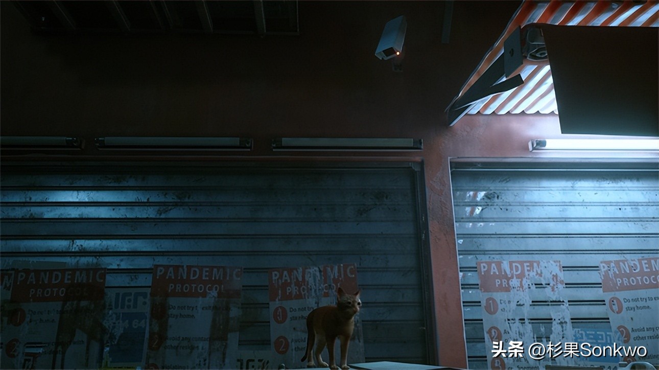 《迷失》评测：你想在赛博朋克世界做一只可爱猫猫吗？