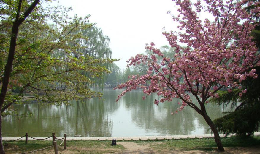 来自塔里木《塔河文苑》诗歌:北方南方冬天之猜想