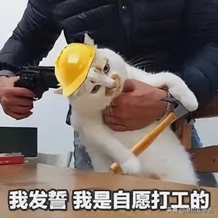 为什么香港人都喜欢来深圳旅游,为什么很多人去香港打工